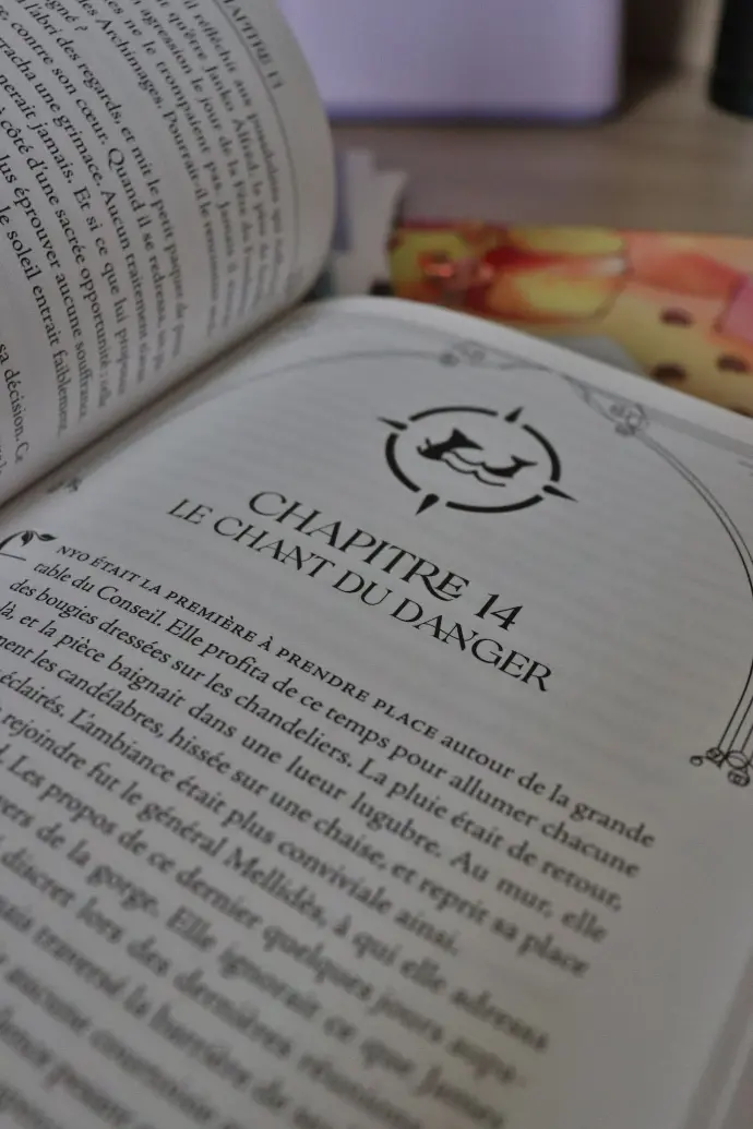 Exemple de roman mis en page