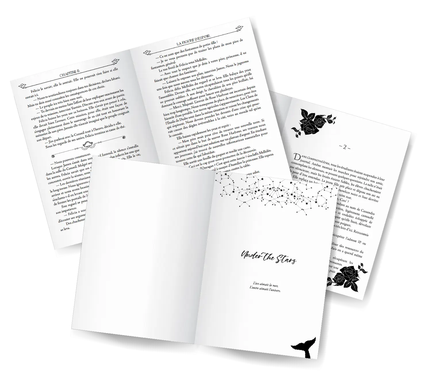 Exemple de mises en page en de roman